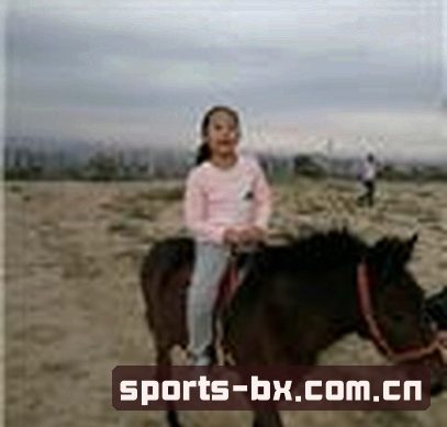 孙磊